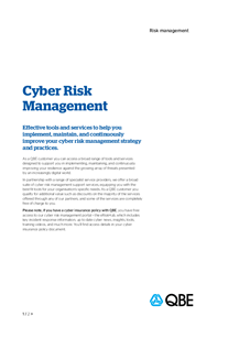 Cyber Risk Management Services